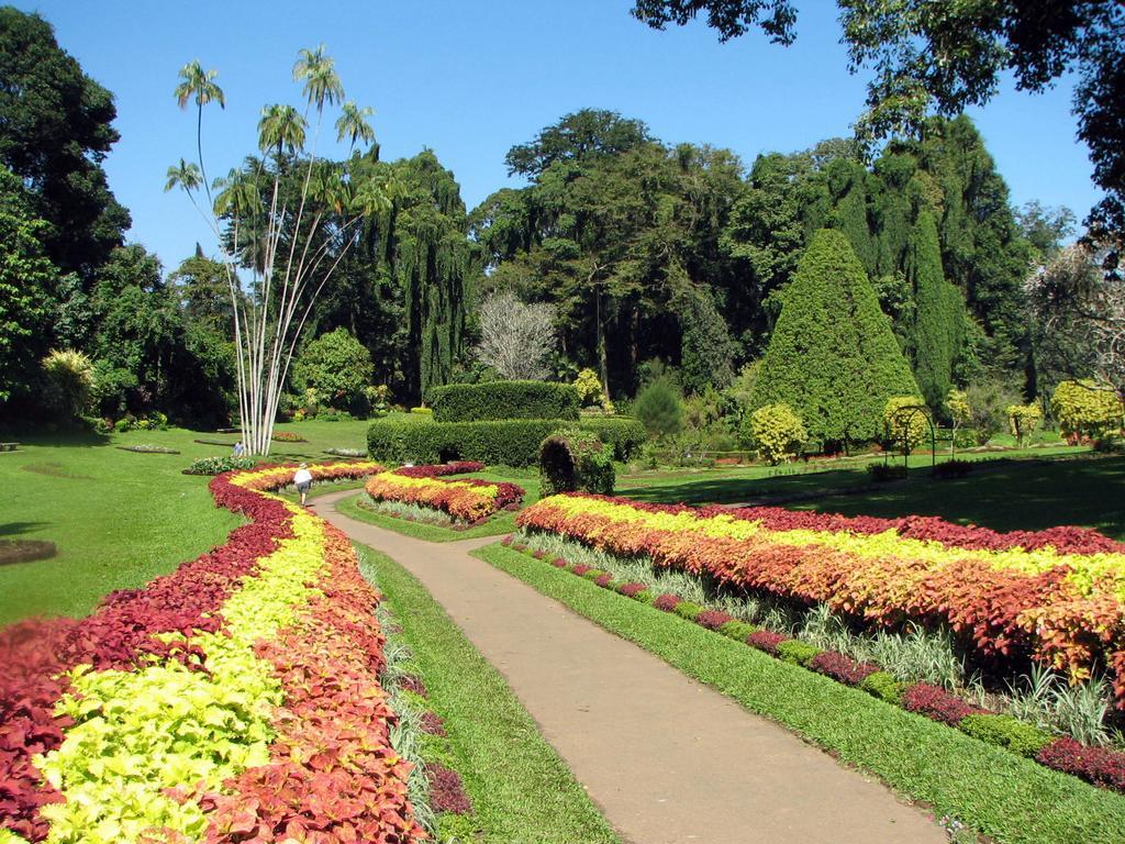 Kandy View Villa Exteriér fotografie